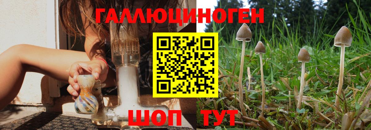 Псилоцибиновые грибы ЛСД Советский