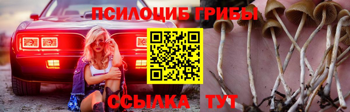 Псилоцибиновые грибы Magic Shrooms  Вход с VPN  Советский  Псилоцибиновые грибы ЛСД 